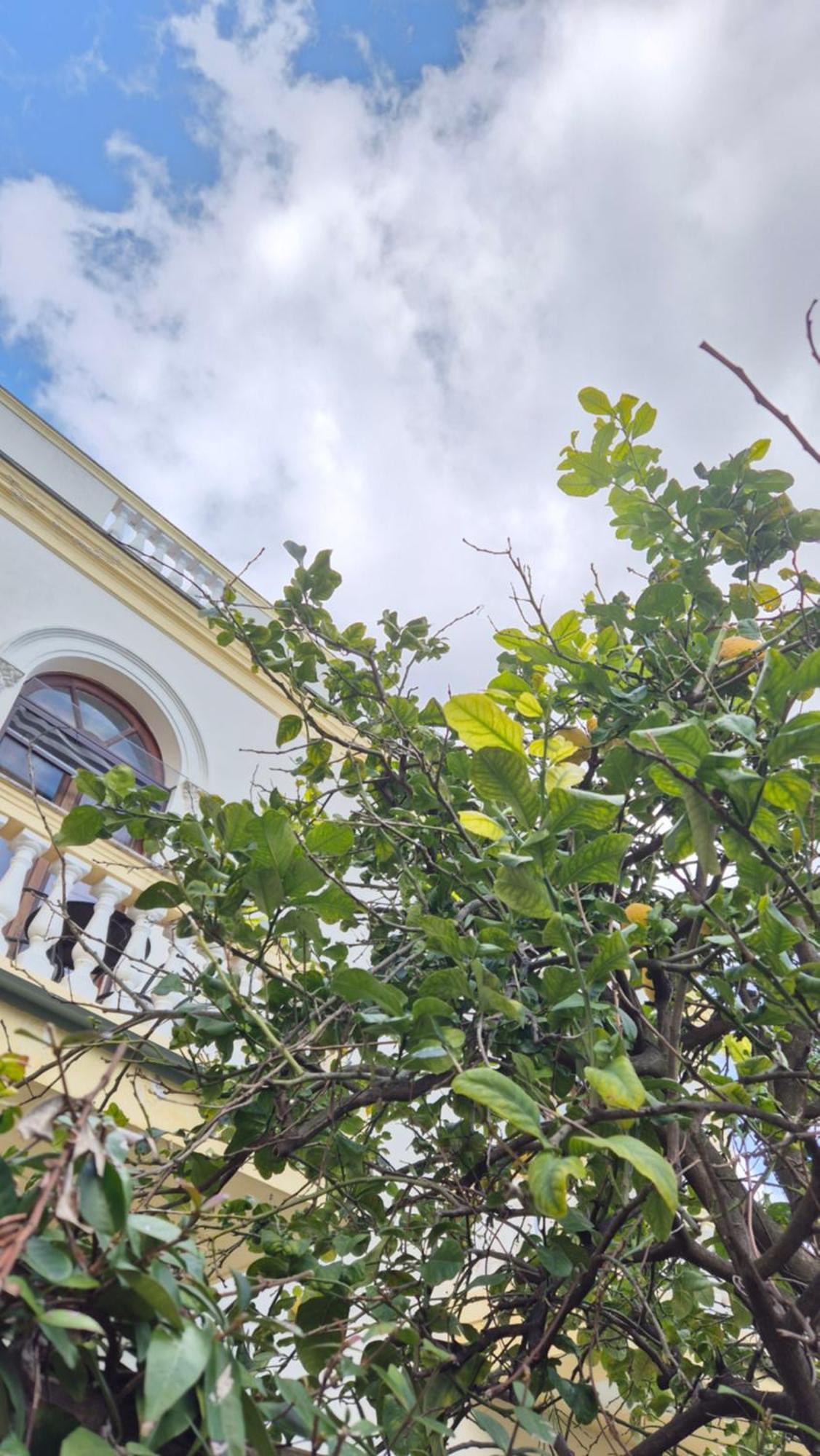 Relais Villa Montedonzelli Neapel Exterior foto